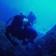 <a href="https://www.divelog.gr/author/billy-ana/" target="_self">Βασίλης Αναστασόπουλος</a>